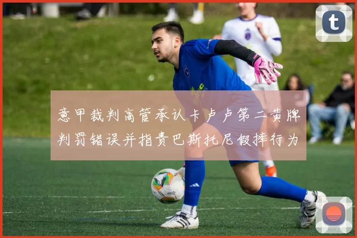 意甲裁判高管承认卡卢卢第二黄牌判罚错误并指责巴斯托尼假摔行为