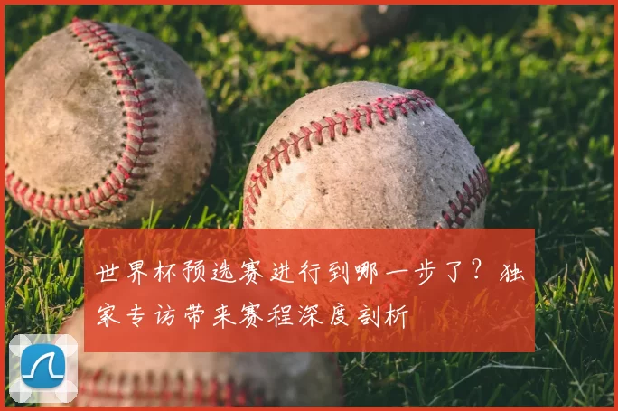 世界杯预选赛进行到哪一步了?独家专访带来赛程深度剖析
