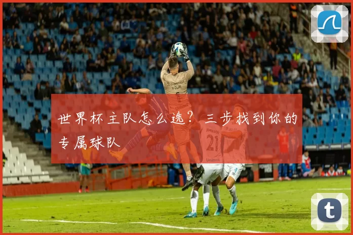 世界杯主队怎么选?三步找到你的专属球队