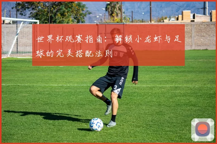 世界杯观赛指南:解锁小龙虾与足球的完美搭配法则