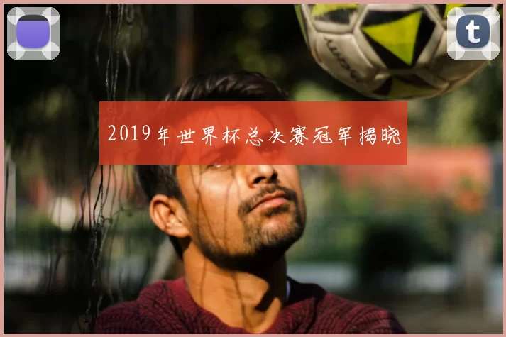2019年世界杯总决赛冠军揭晓