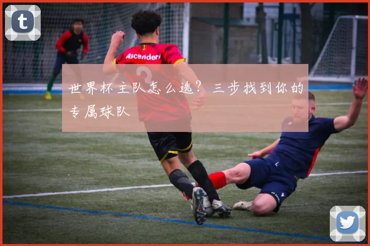 世界杯主队怎么选?三步找到你的专属球队