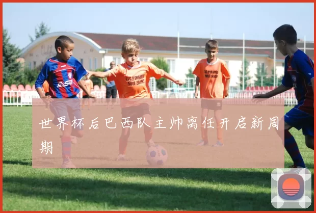 世界杯后巴西队主帅离任开启新周期