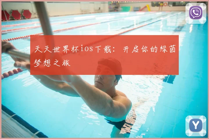 天天世界杯ios下载:开启你的绿茵梦想之旅
