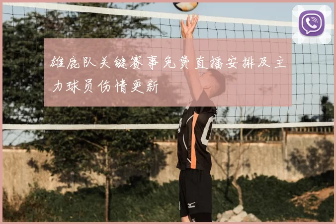 雄鹿队关键赛事免费直播安排及主力球员伤情更新